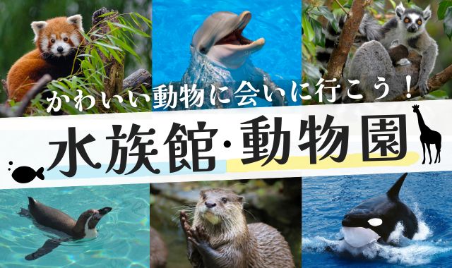 水族館・動物園