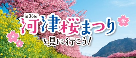 河津桜まつり2026 おすすめツアー特集